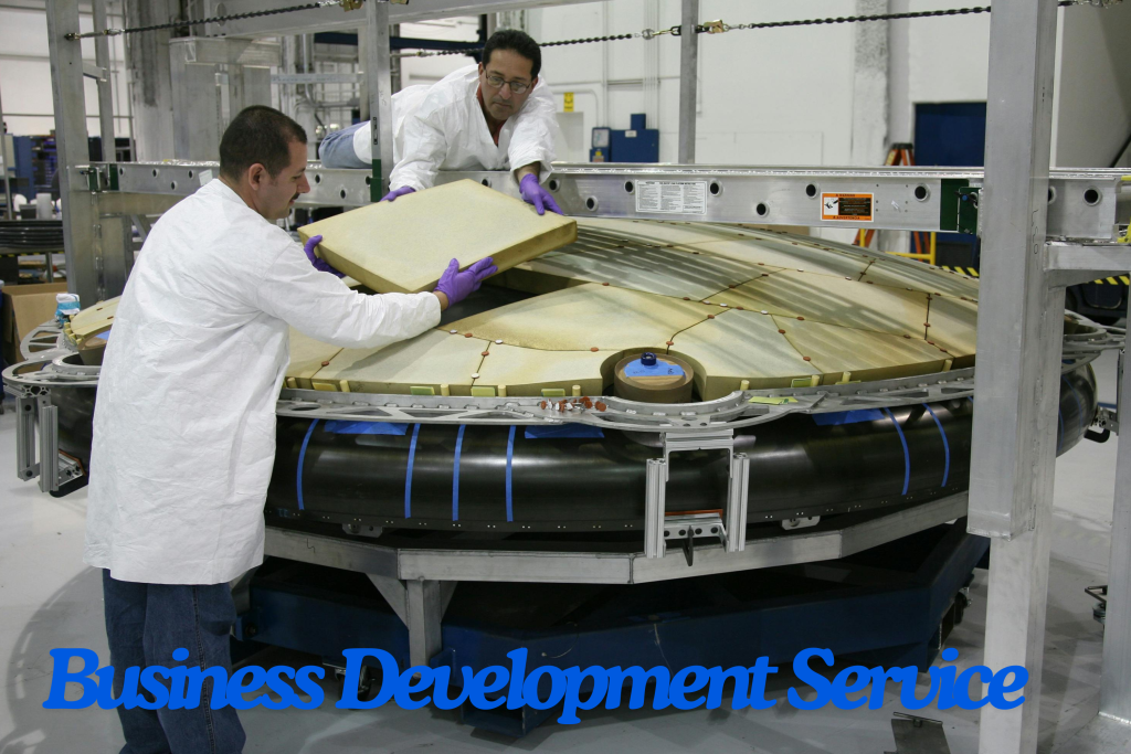 Business Development Service